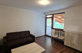 Apartament in vila, 2 camere, gradina de 80 mp, parcare, preluare de chiriasi, zona Dumitru Mocanu
