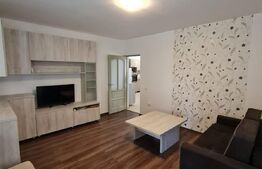 Apartament in vila, 2 camere, gradina de 80 mp, parcare, preluare de chiriasi, zona Dumitru Mocanu