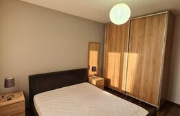 Apartament in vila, 2 camere, gradina de 80 mp, parcare, preluare de chiriasi, zona Dumitru Mocanu