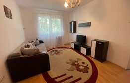 Apartament 3 camere, 55 mp, zona străzii Tazlau
