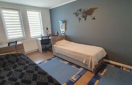 Casa, 130 mp utili, cartierul Tineretului 