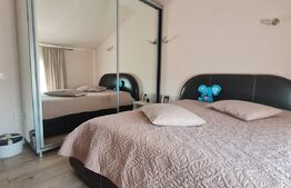 Apartament 2 camere, 55 mp, aer conditionat, zona Teilor