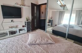Apartament 2 camere, 55 mp, aer conditionat, zona Teilor