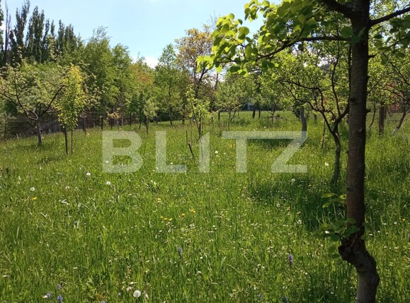 Casa de vânzare 4 camere Sacele - 124276CV | BLITZ Brașov | Poza7