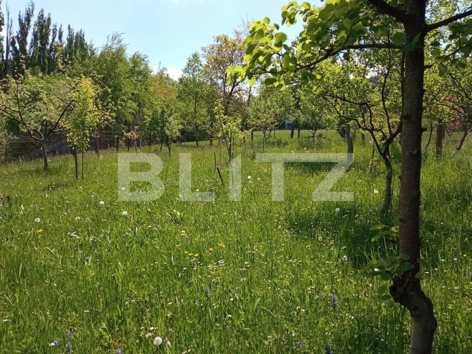 Casa de vânzare 4 camere Sacele - 124276CV | BLITZ Brașov | Poza7