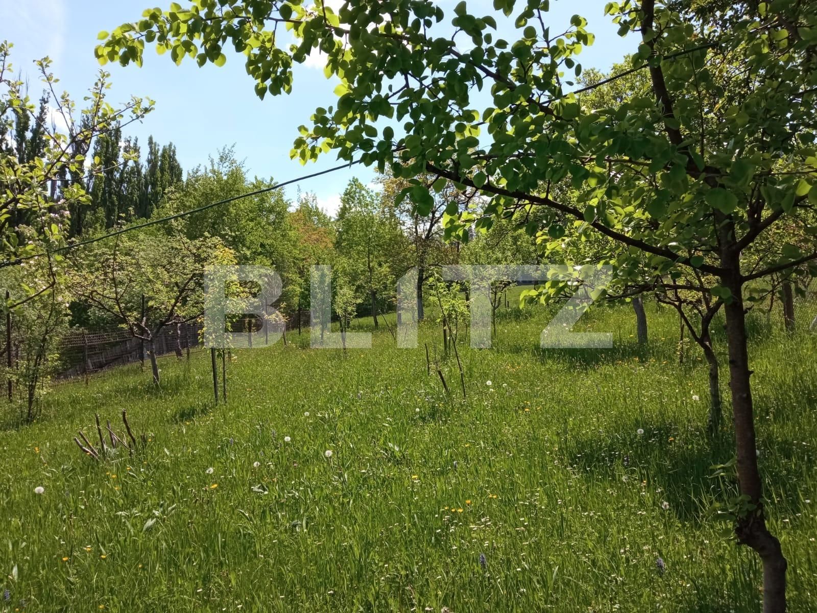 Casa de vânzare 4 camere Sacele - 124276CV | BLITZ Brașov | Poza4