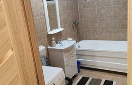 Apartament 1 camera, 40 mp, loc de parcare, zona Eroilor