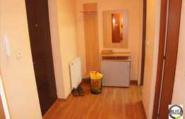 1 camera, 42 mp, imobil NOU, strada Padurii, mobilat modern, parcare inclusa