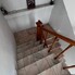 Casa de închiriat 8 camere Grigorescu - 124353CI - Poza 1 din 15 | BLITZ Cluj-Napoca | Poza1