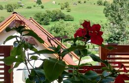 Casă și pensiune de vis în cadru pitoresc, 160mp, zona Moeciu de Sus