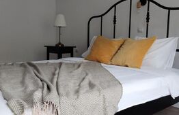 Casă și pensiune de vis în cadru pitoresc, 160mp, zona Moeciu de Sus