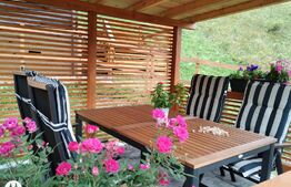 Casă și pensiune de vis în cadru pitoresc, 160mp, zona Moeciu de Sus