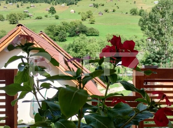 Casa de vânzare 4 camere Moieciu - 124358CV | BLITZ Brașov | Poza14