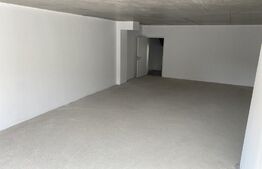 Spatiu comercial cu potential urias, 63 mp, cartier Tractorul