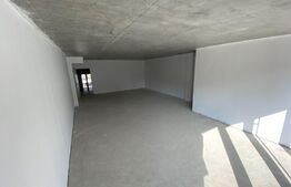 Spatiu comercial cu potential urias, 63 mp, cartier Tractorul