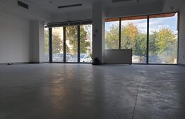Spatiu comercial cu potential, 100 mp, zona Saturn
