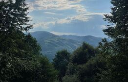 Teren intravilan,1000 mp, Muntele Rece