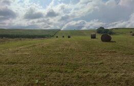 Parcele teren intravilan, 903mp, Salicea 