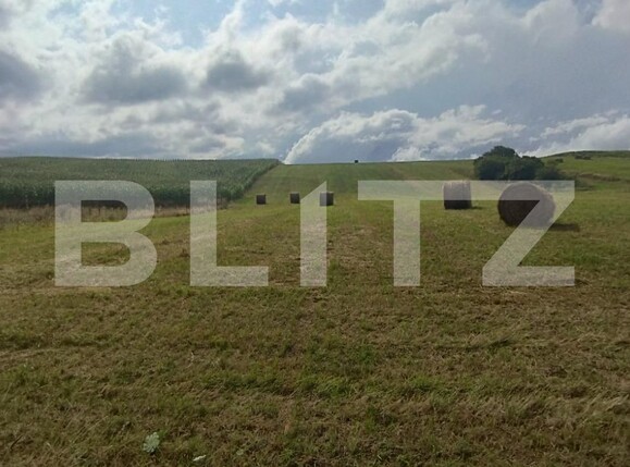 Teren de vânzare Salicea - 124512TV | BLITZ Cluj-Napoca | Poza2