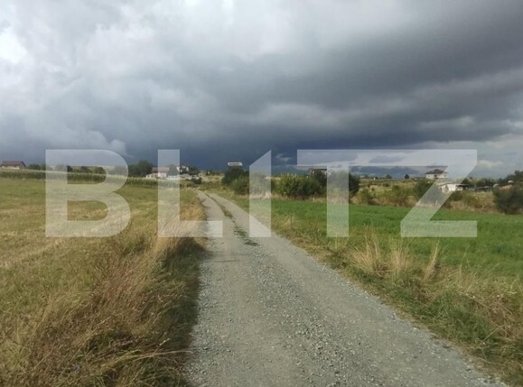 Teren de vânzare Salicea - 124512TV | BLITZ Cluj-Napoca | Poza3