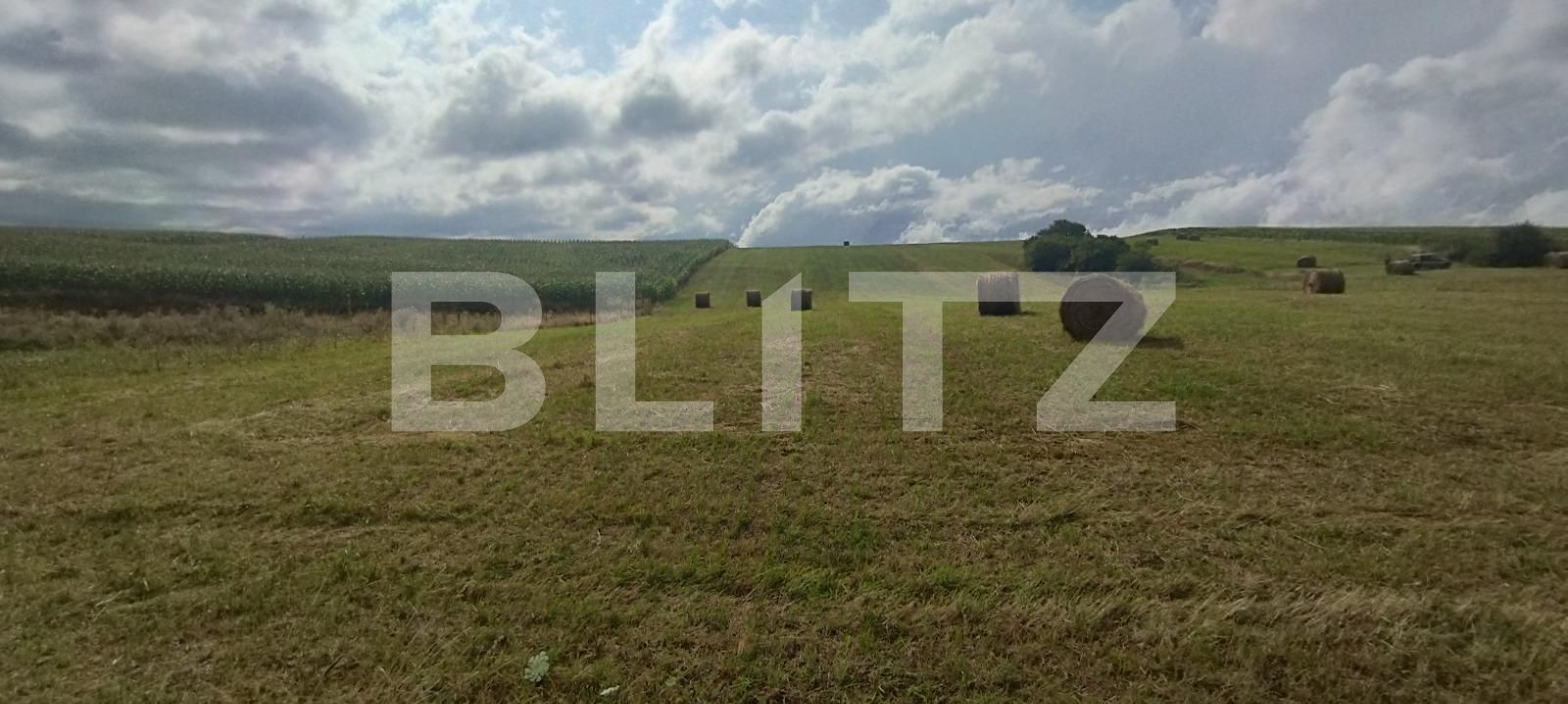 Teren de vânzare Salicea - 124512TV | BLITZ Cluj-Napoca | Poza2