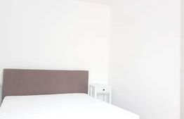 Apartament cu 2 camere, 45 mp, cartier Centrul Civic