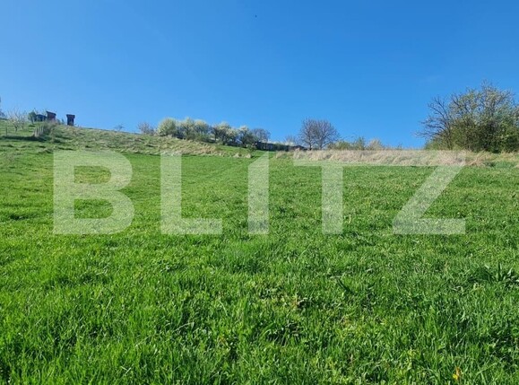 Teren de vânzare Valcele - 124704TV | BLITZ Cluj-Napoca | Poza6