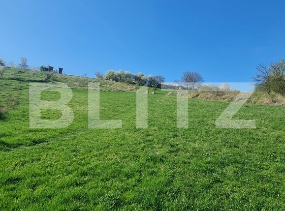 Teren de vânzare Valcele - 124704TV | BLITZ Cluj-Napoca | Poza4