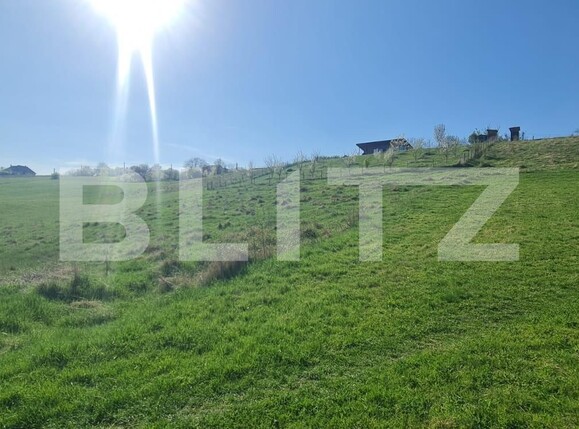 Teren de vânzare Valcele - 124704TV | BLITZ Cluj-Napoca | Poza1