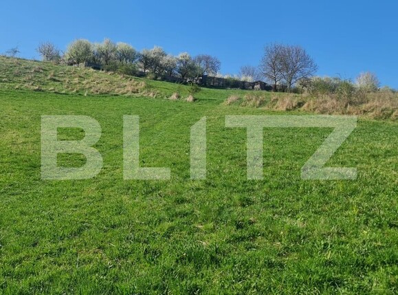 Teren de vânzare Valcele - 124704TV | BLITZ Cluj-Napoca | Poza3