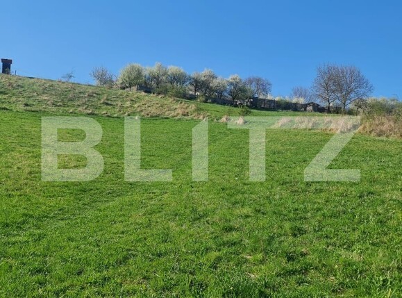 Teren de vânzare Valcele - 124704TV | BLITZ Cluj-Napoca | Poza5