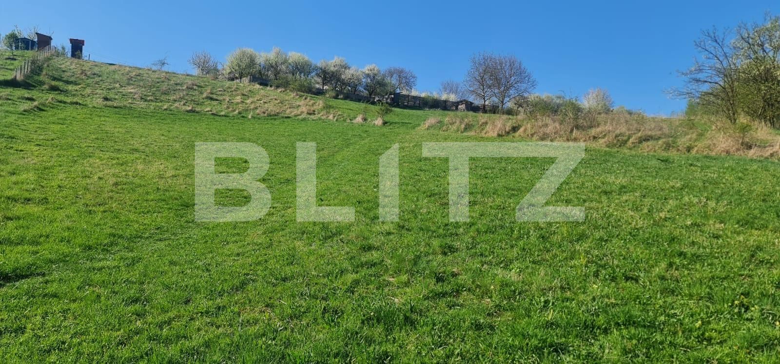Teren de vânzare Valcele - 124704TV | BLITZ Cluj-Napoca | Poza3