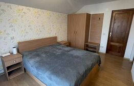 Exclusiv ! Pensiune turistica, 6 camere, 214mp, Floresti