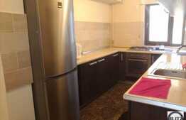 Apartament de vanzare 2 camere, 56 mp utili, semineu, zona strazii G.V. Bibescu!