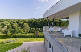 Vila moderna, 5 camere, 278 mp utili, 2900 mp teren, Feleacu