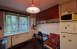 Apartament 2 camere, 48mp, zona Transylvania College