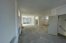 Cladire individuala, 210mp, zona strazii Septimiu Albini