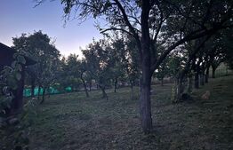 Casa 4 camere, 3 anexe, 199mp, teren 2810 mp, Ceanu Mare