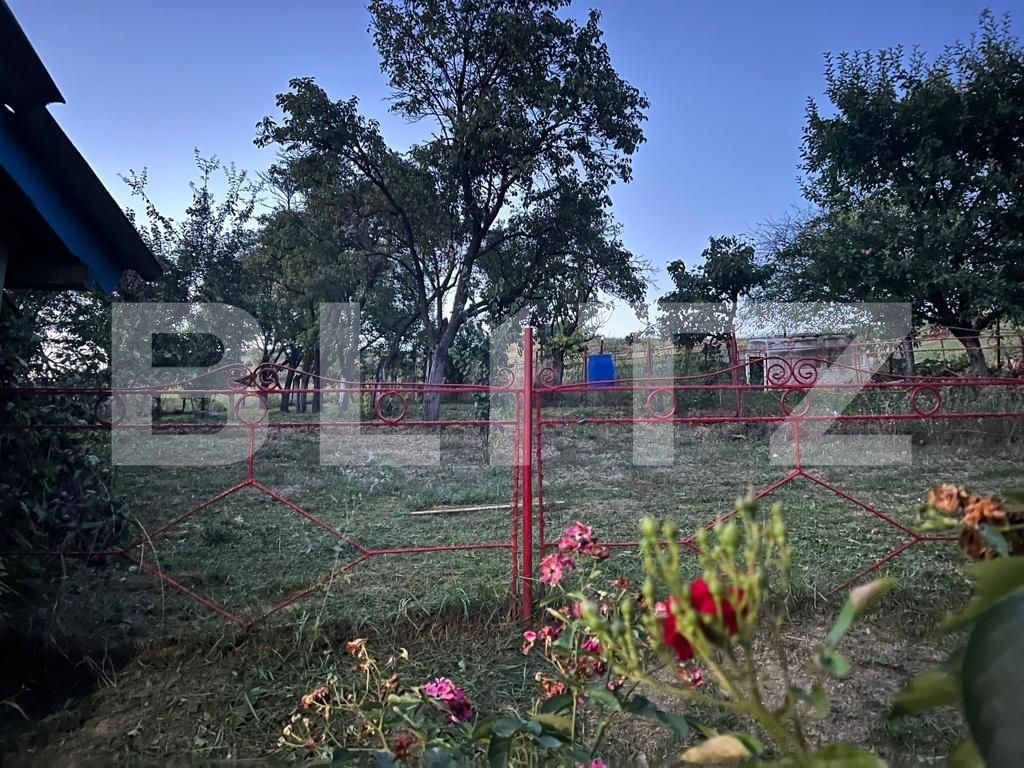 Casa de vânzare 4 camere Exterior Est - 125062CV | BLITZ Cluj-Napoca | Poza6