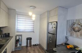 Apartament  3 camere, mobilat si utilat, 61mp, parcare, etaj intermediar, zona Terra