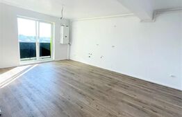 Apartament cu 2 camere, 46 mp, zona strazii Corneliu Coposu