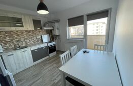 Apartament 2 camere, modern, parcare, 50 mp, zona Porii 