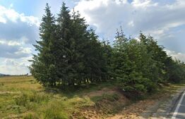 Teren Cabana Belis 1000mp, utilitati