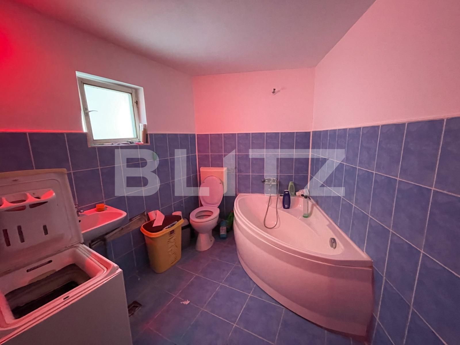 Casa de închiriat 5 camere Gruia - 125291CI | BLITZ Cluj-Napoca | Poza10