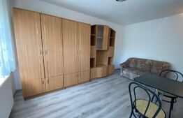 Garsoniera renovata, 22 mp, Calea Baciului