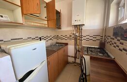 Garsoniera renovata, 22 mp, Calea Baciului