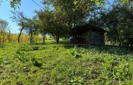 Casa individuala, 5 camere, 180mp utili, teren 2000mp, Vișea (Jucu)