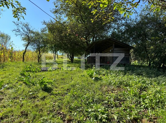 Casa de vânzare 5 camere Jucu - 125315CV | BLITZ Cluj-Napoca | Poza4