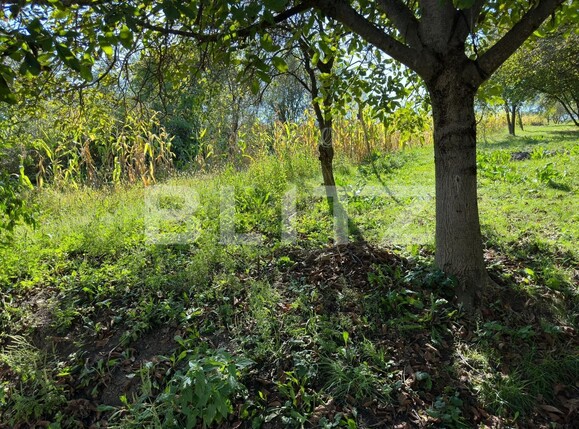 Casa de vânzare 5 camere Jucu - 125315CV | BLITZ Cluj-Napoca | Poza6