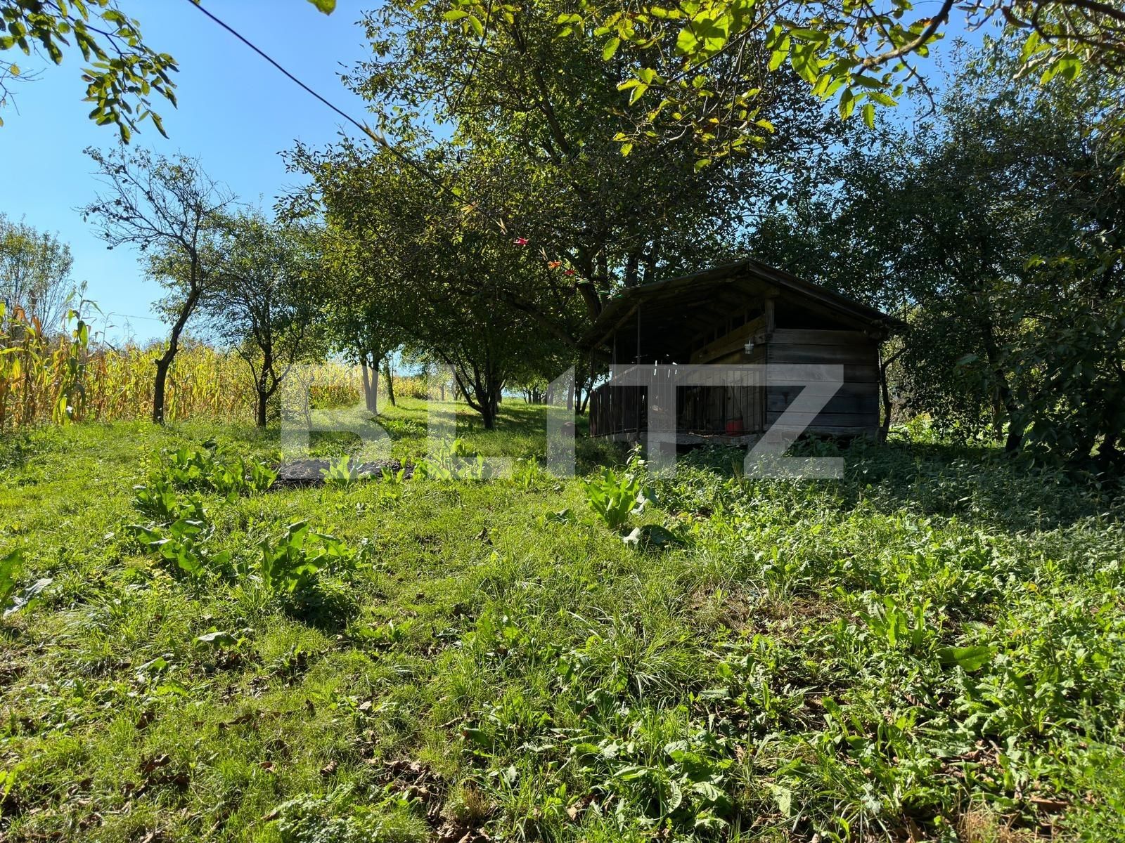 Casa de vânzare 5 camere Jucu - 125315CV | BLITZ Cluj-Napoca | Poza4